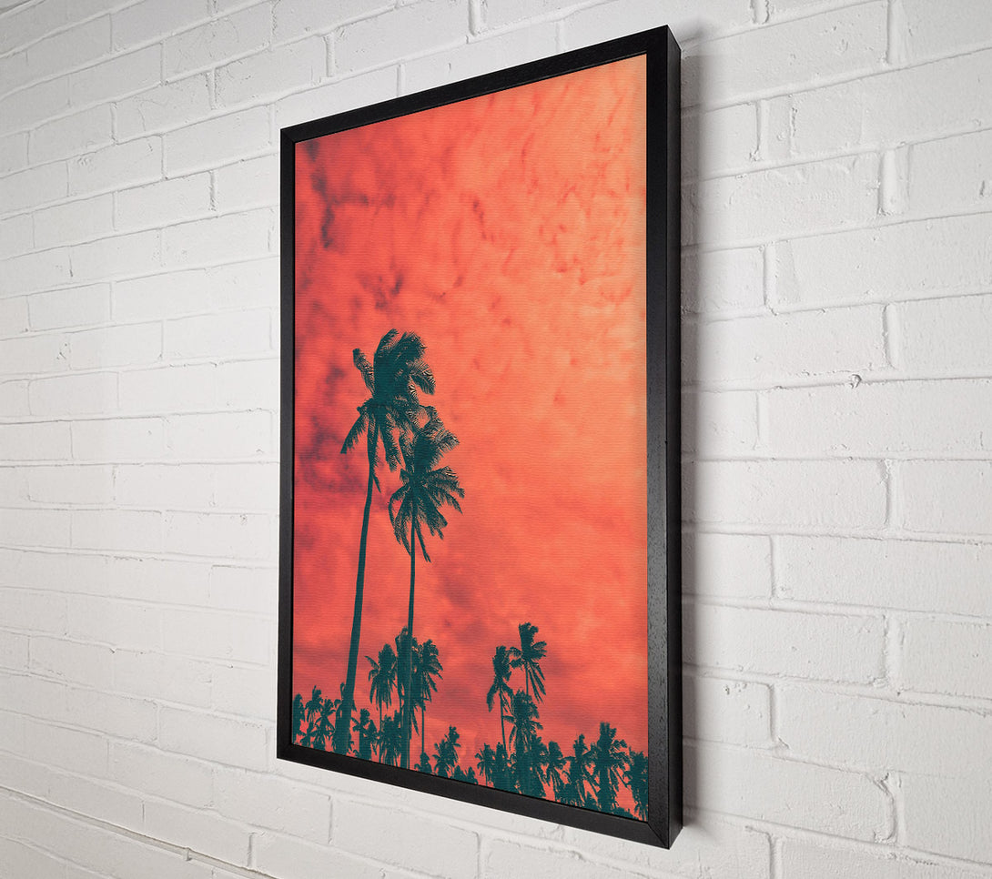  A Canvas Print of Coral Palm Dreams Canvas Print