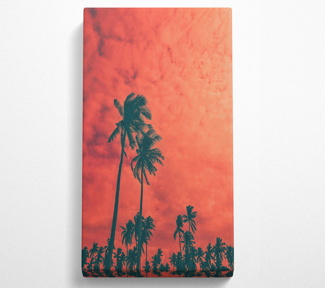  A Canvas Print of Coral Palm Dreams Canvas Print