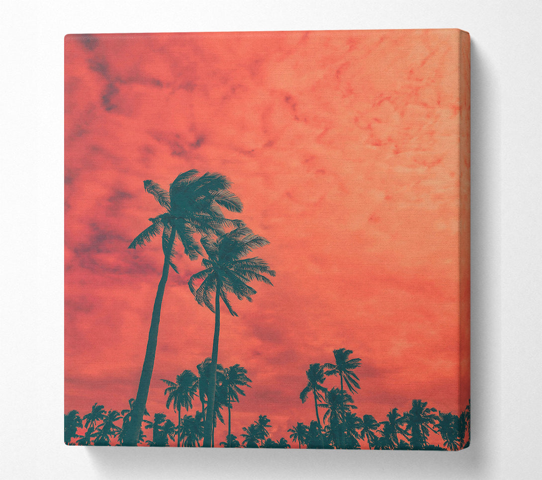  A Canvas Print of Coral Palm Dreams Canvas Print