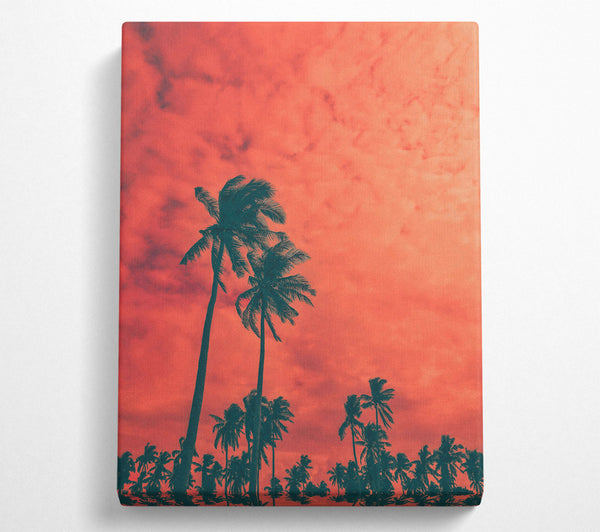  A Canvas Print of Coral Palm Dreams Canvas Print