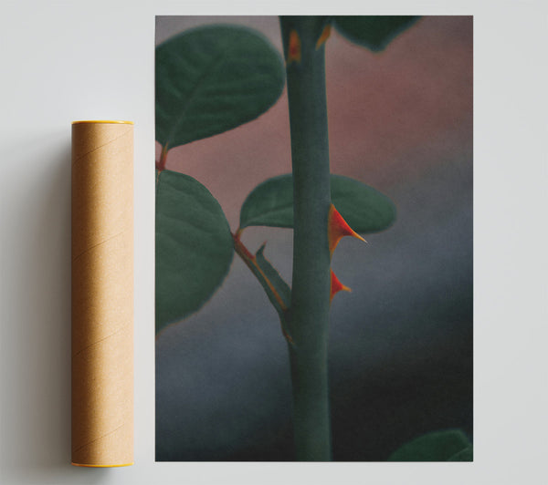 Red Thorned Stem Giclee Print