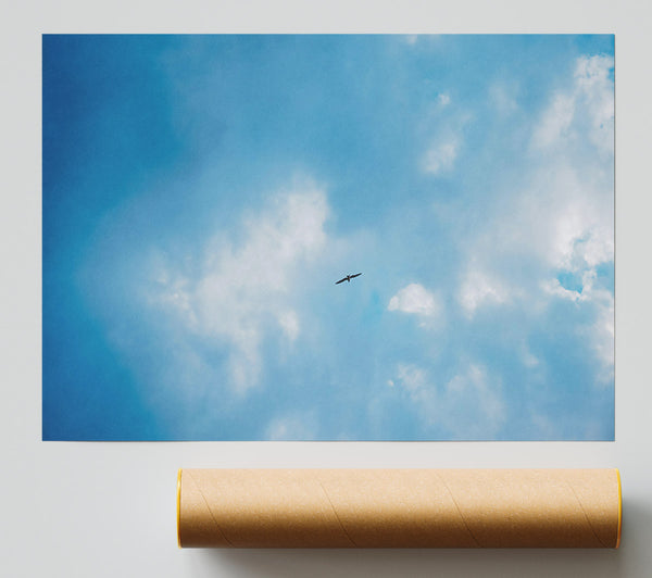 Blue Skies Soaring Bird Print