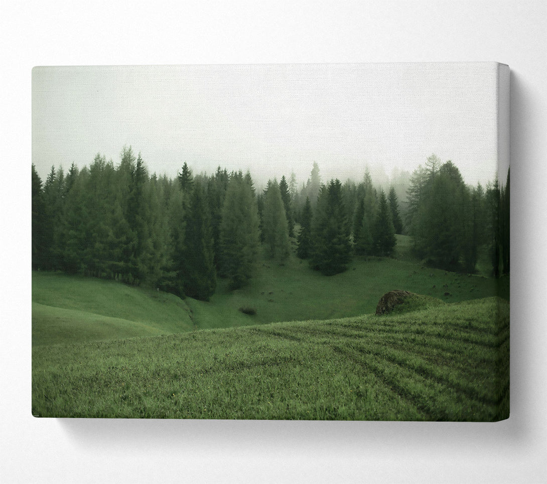  A Canvas Print of Emerald Forest Mist Canvas Wall Art