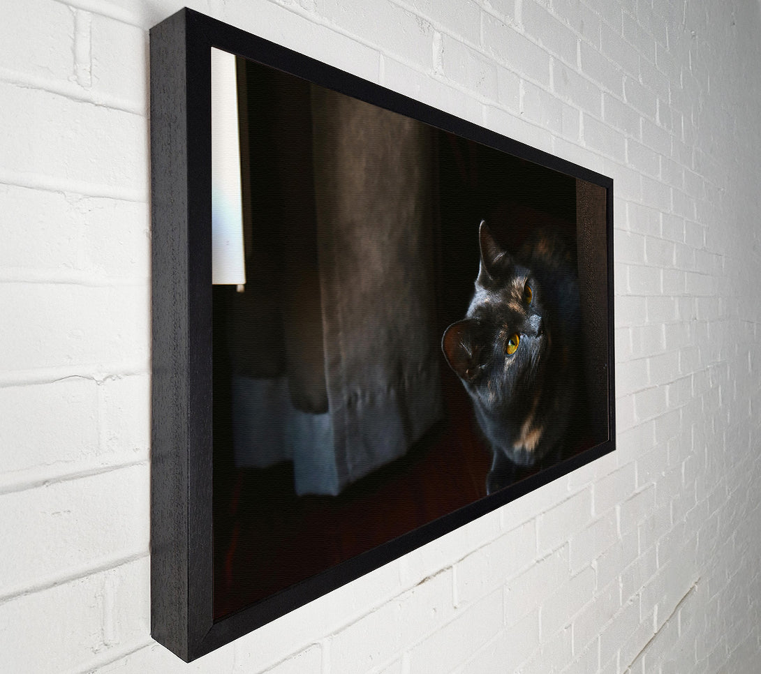  A Canvas Print of Shadowed Grey Glance Canvas Wall Art