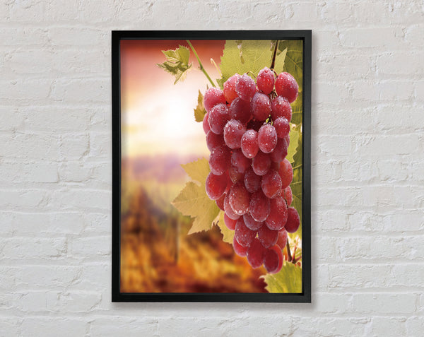 Bunch Of Grapes Framed Print