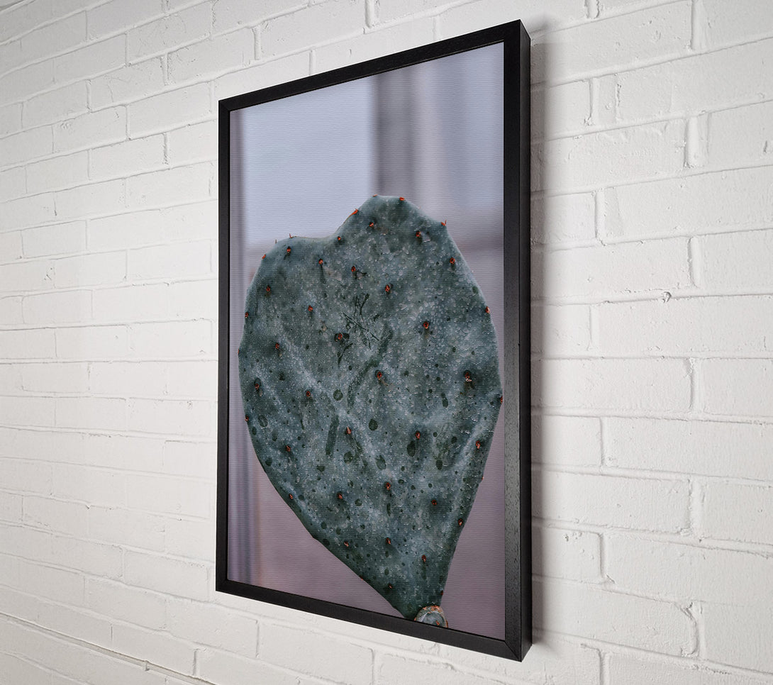  A Canvas Print of Teal Prickly Heart Canvas Art