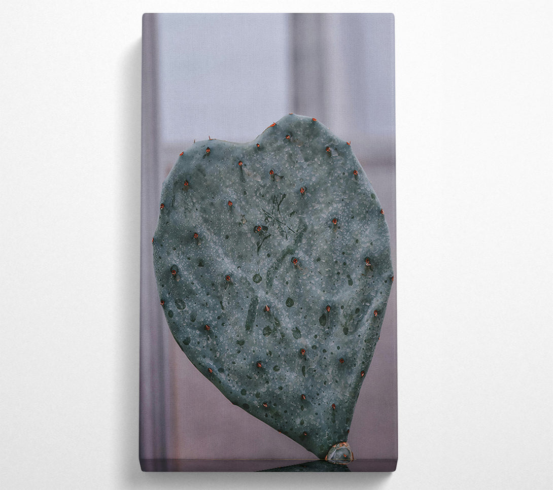  A Canvas Print of Teal Prickly Heart Canvas Art
