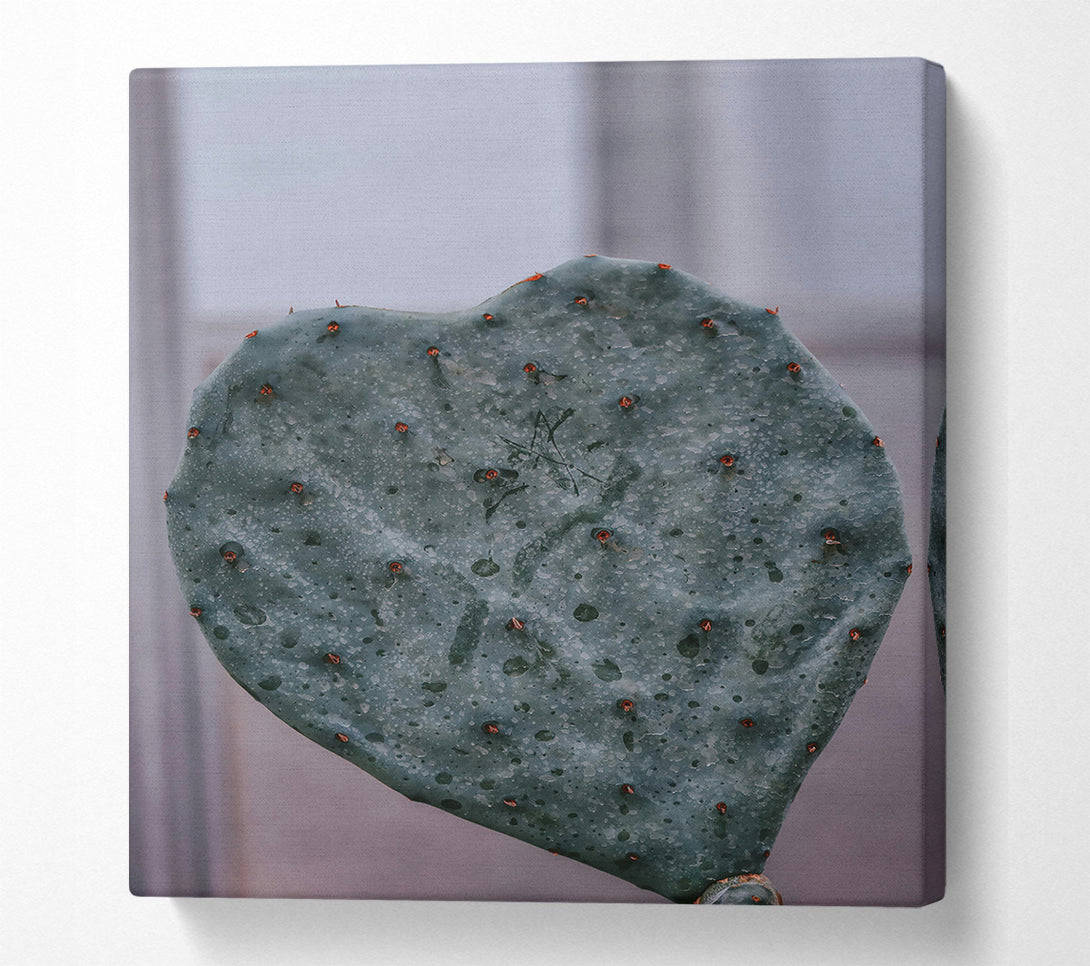  A Canvas Print of Teal Prickly Heart Canvas Art