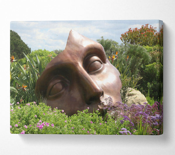  A Canvas Print of Bronze Dream Face Canvas Art