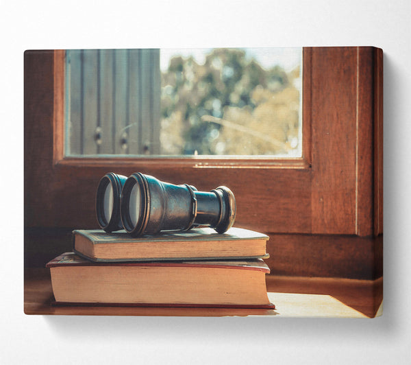  A Canvas Print of Brown Window View Canvas Print