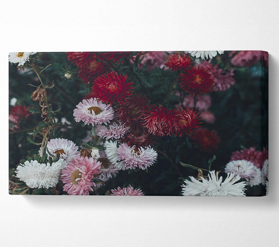  A Canvas Print of Crimson Floral Bloom Canvas Print