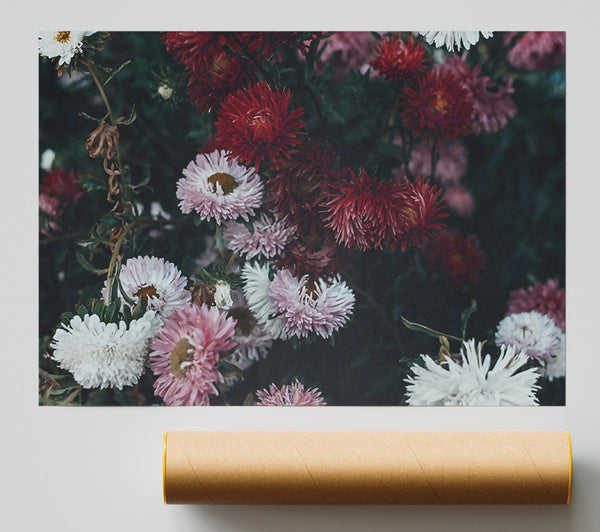 Crimson Floral Bloom Poster