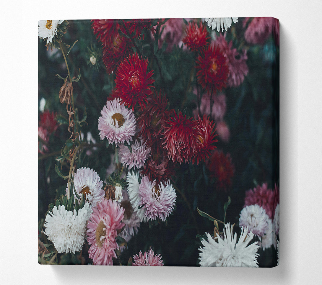  A Canvas Print of Crimson Floral Bloom Canvas Print