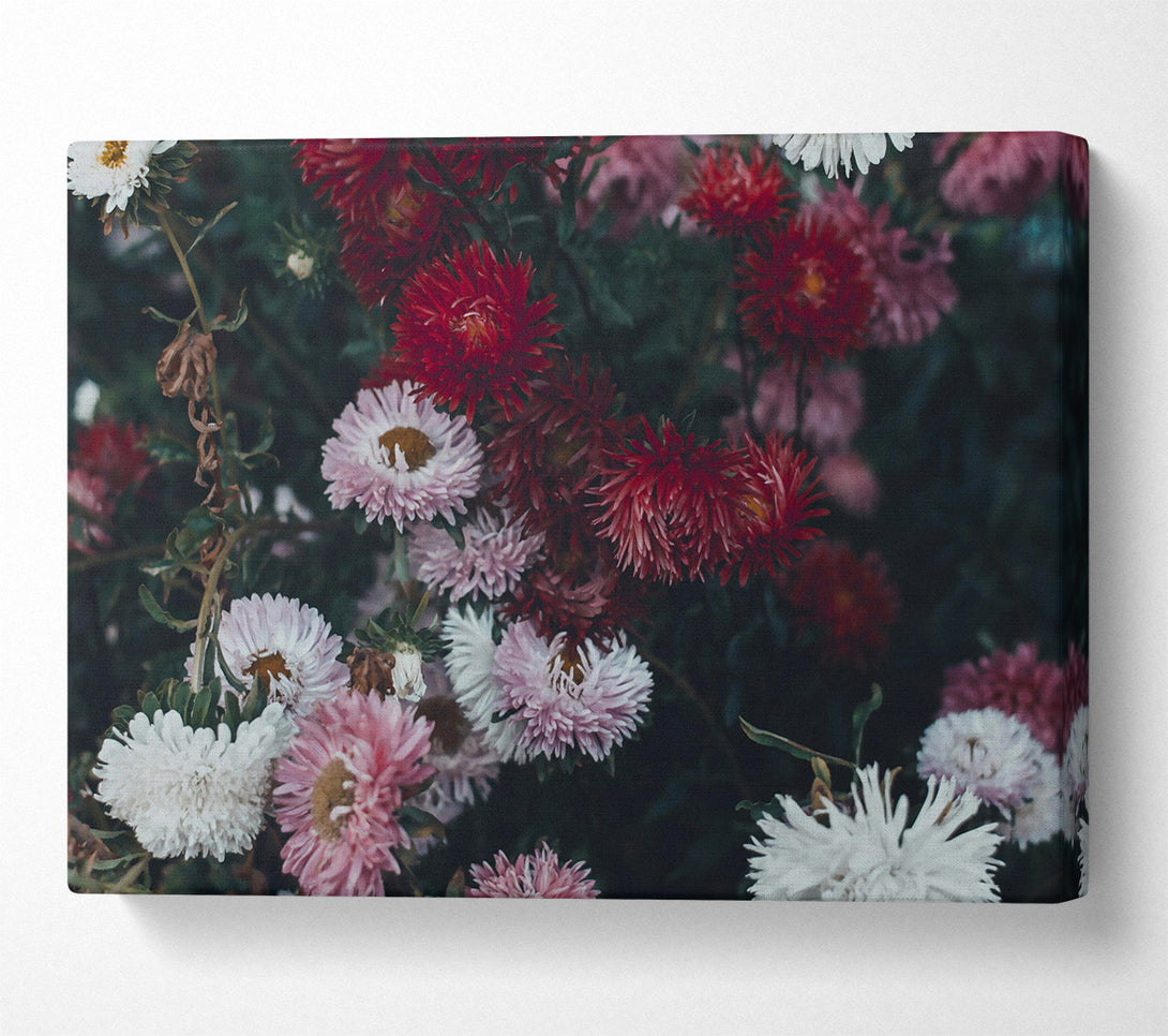  A Canvas Print of Crimson Floral Bloom Canvas Print