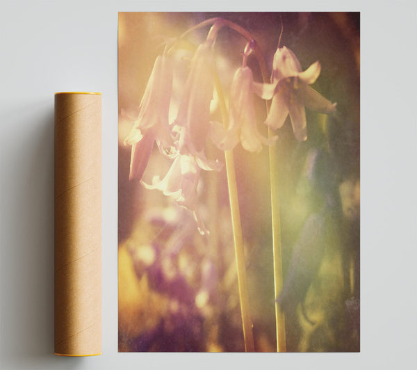 Golden Bell Flowers. Print
