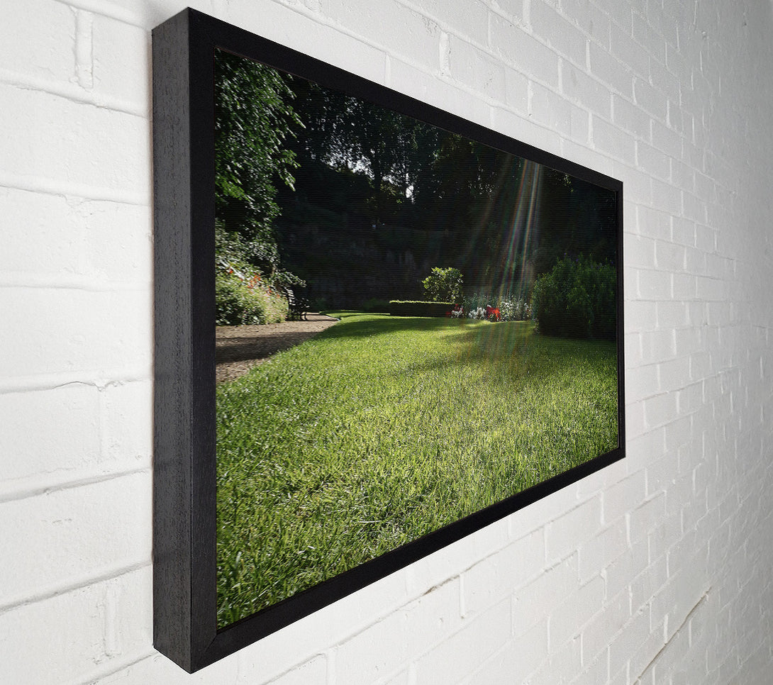  A Canvas Print of Emerald Sunbeams Canvas Print
