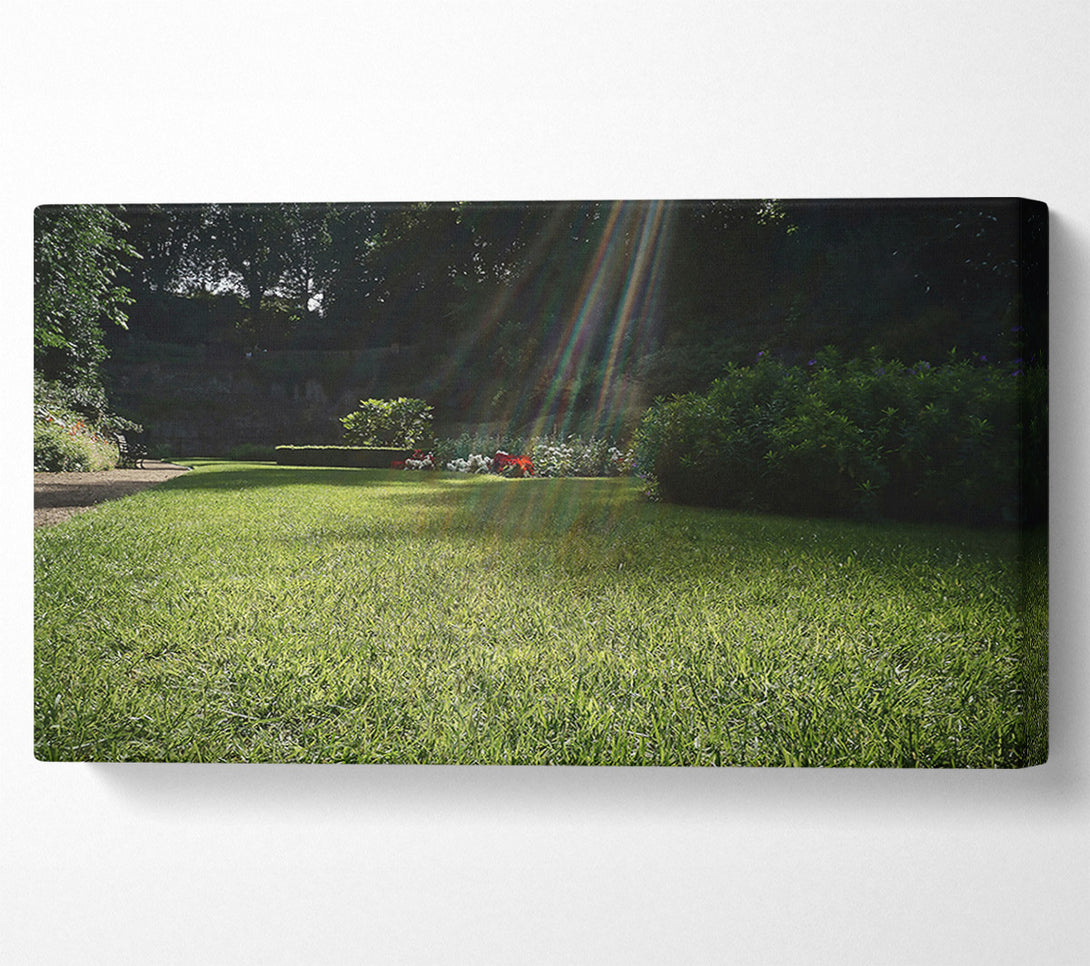  A Canvas Print of Emerald Sunbeams Canvas Print