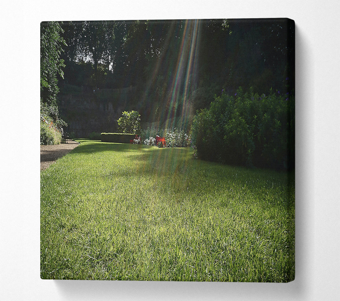  A Canvas Print of Emerald Sunbeams Canvas Print