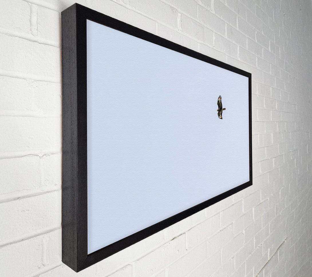  A Canvas Print of Pale Blue Soaring Canvas Wall Art