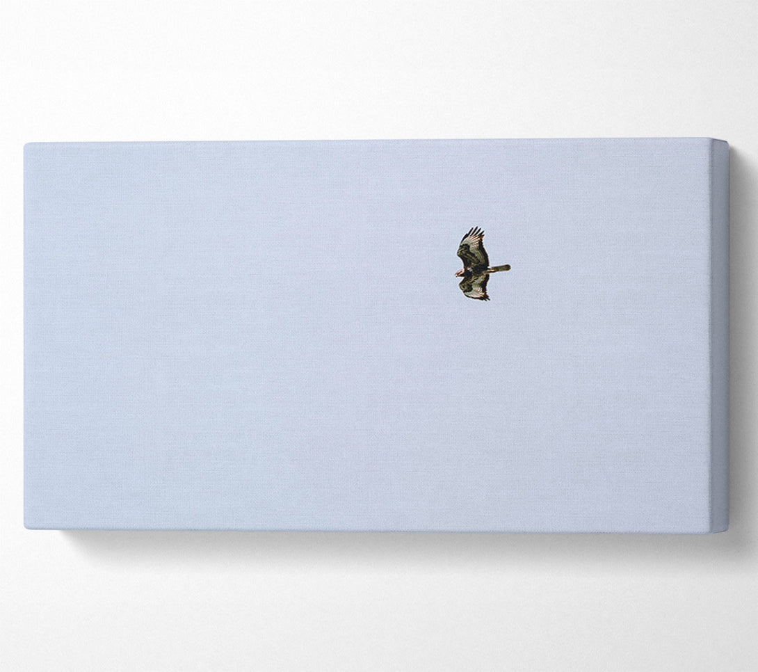 A Canvas Print of Pale Blue Soaring Canvas Wall Art