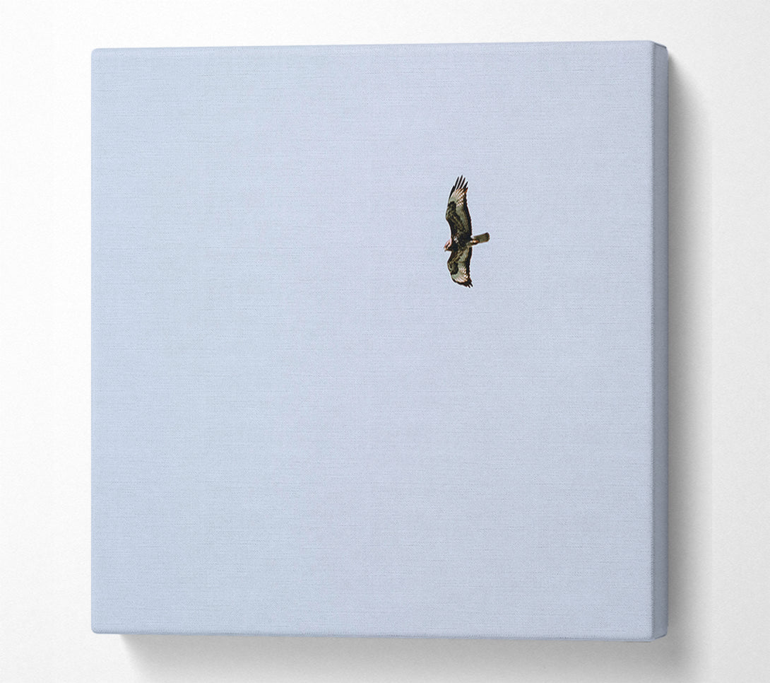  A Canvas Print of Pale Blue Soaring Canvas Wall Art