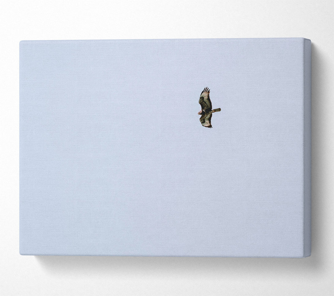  A Canvas Print of Pale Blue Soaring Canvas Wall Art