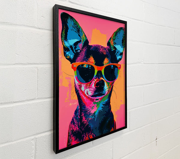 Pink Shades Pup