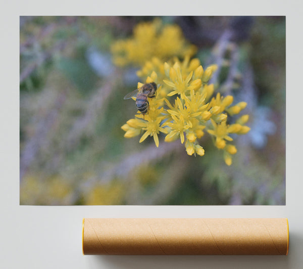 Golden Bee Blooms Poster