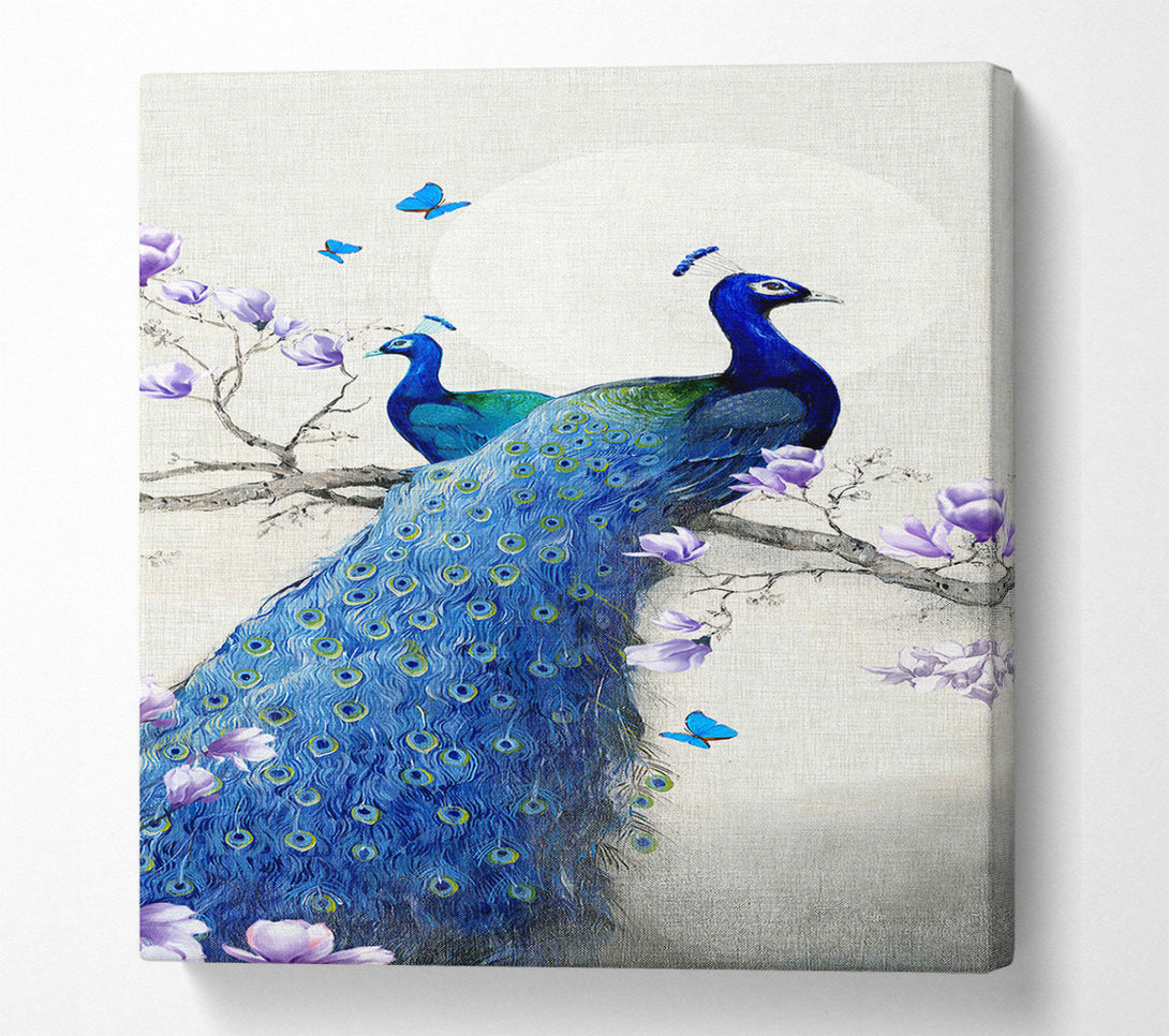  A Canvas Print of Butterfly Peacock Canvas Art