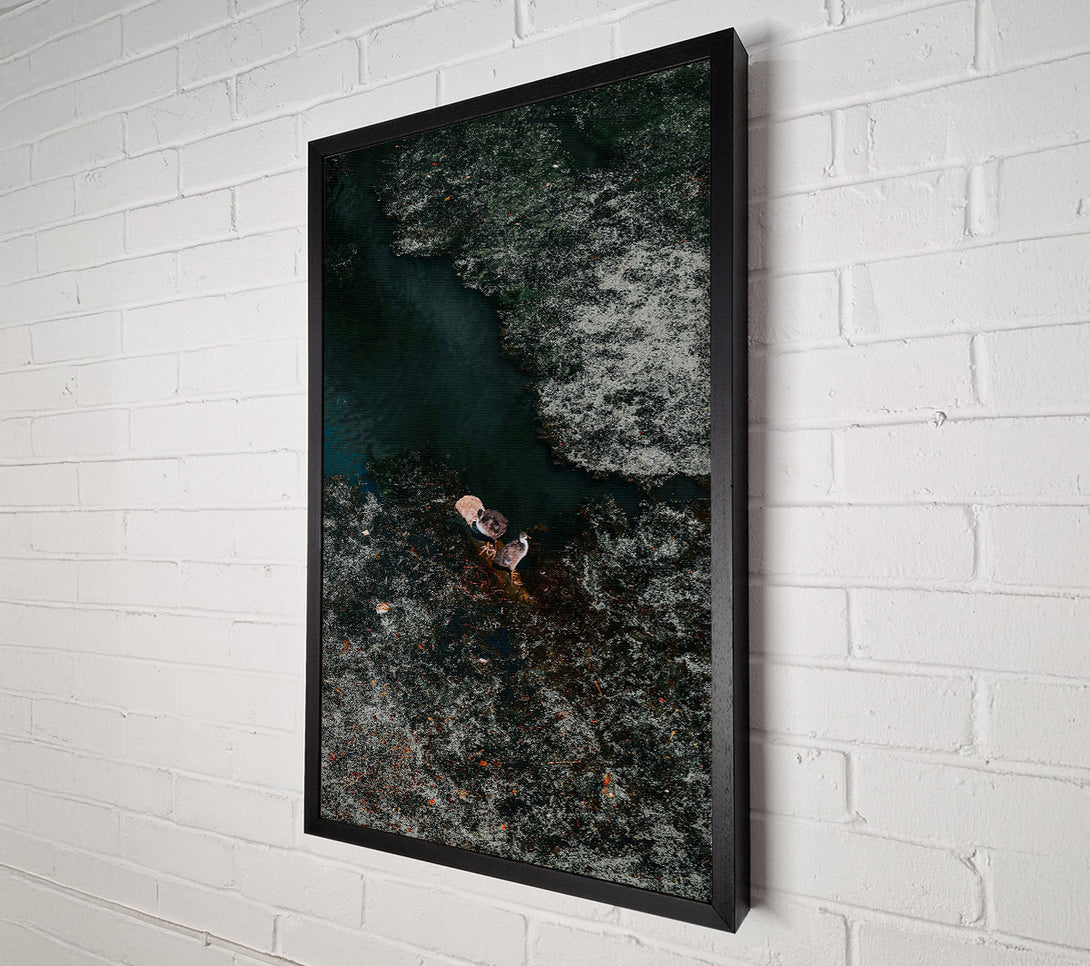  A Canvas Print of Emerald Pond Solitude Canvas Print