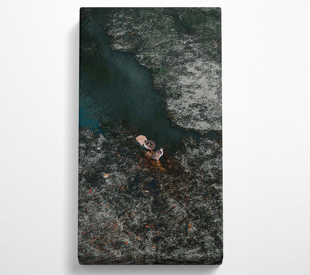  A Canvas Print of Emerald Pond Solitude Canvas Print