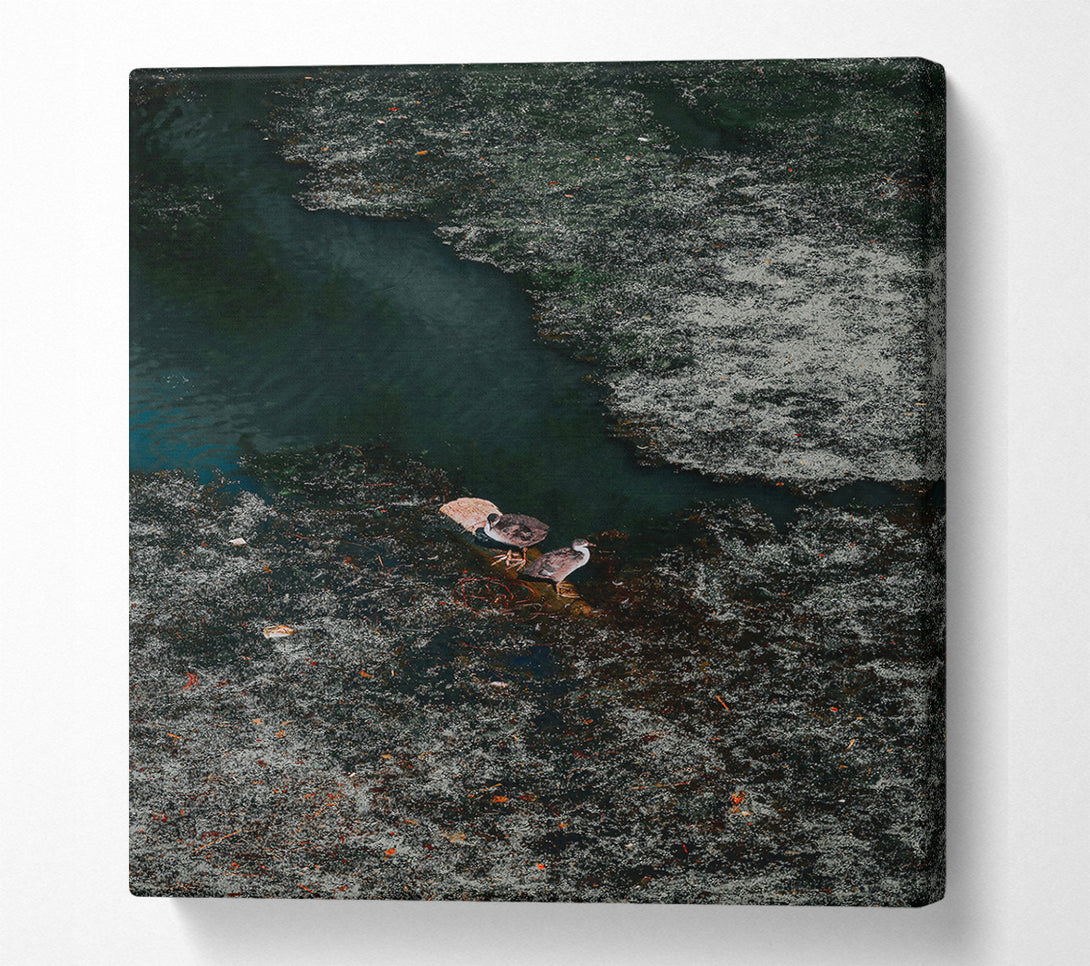  A Canvas Print of Emerald Pond Solitude Canvas Print