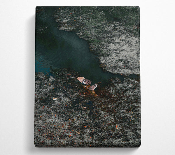  A Canvas Print of Emerald Pond Solitude Canvas Print
