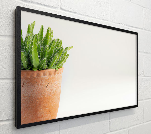 Terracotta Green Sprigs