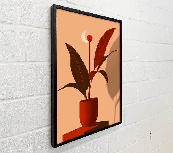 Crimson Plant Dreams