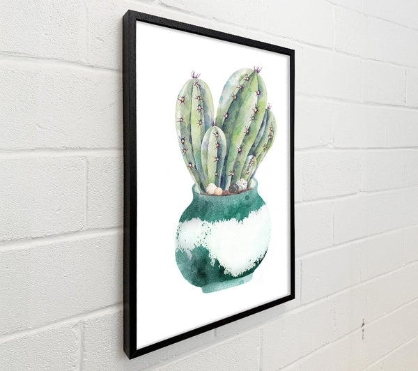 Cactus Watercolour
