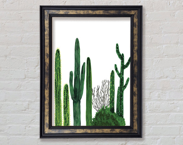 Cactus Framed Print