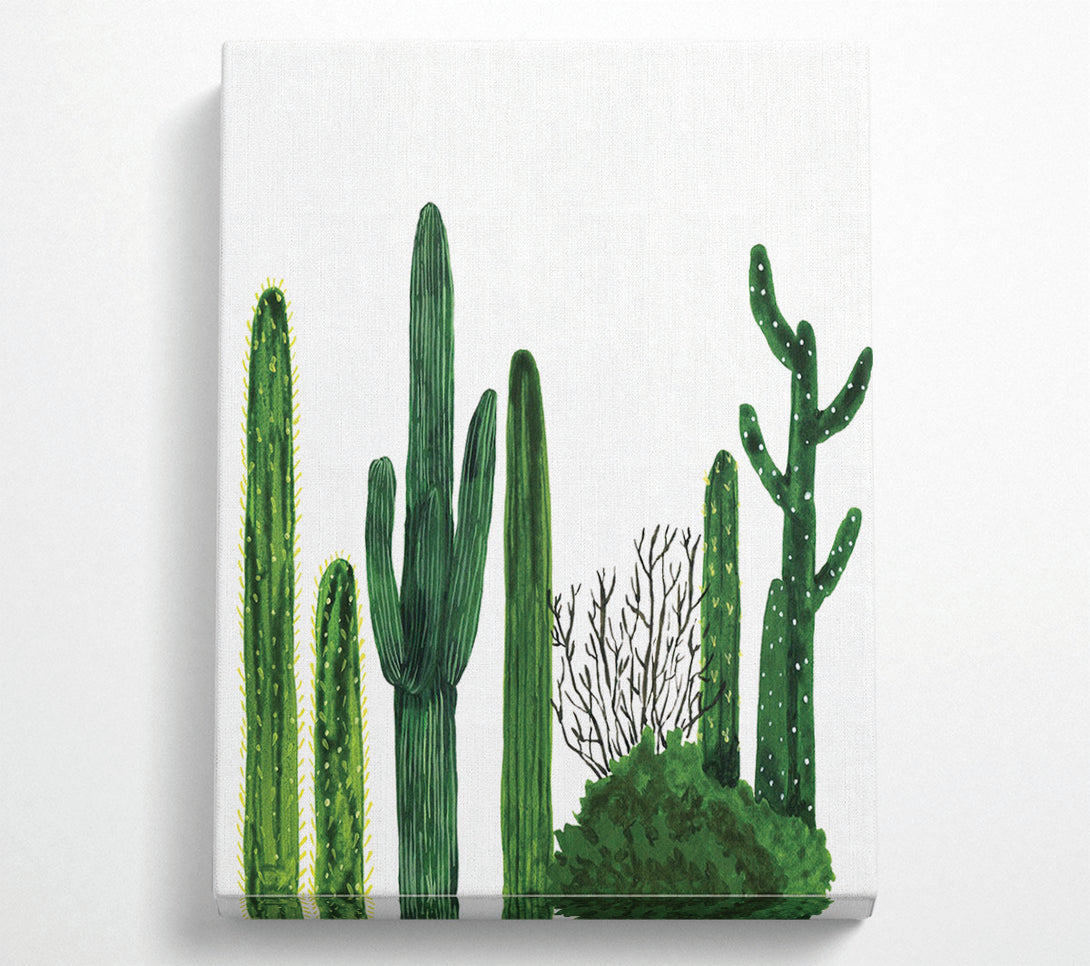  A Canvas Print of Cactus Canvas Print