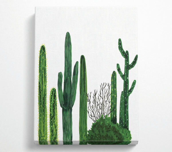  A Canvas Print of Cactus Canvas Print