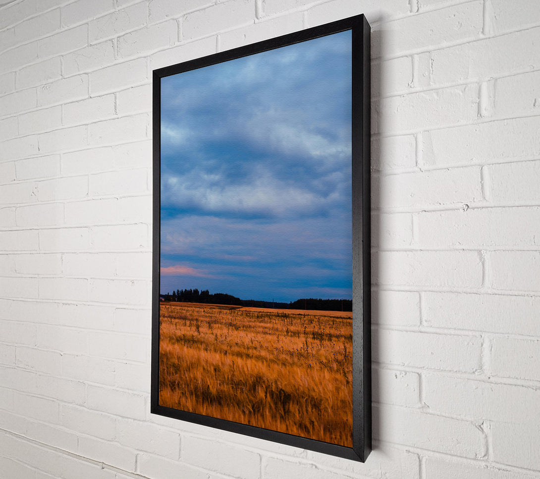  A Canvas Print of Golden Field And Sky Canvas Art