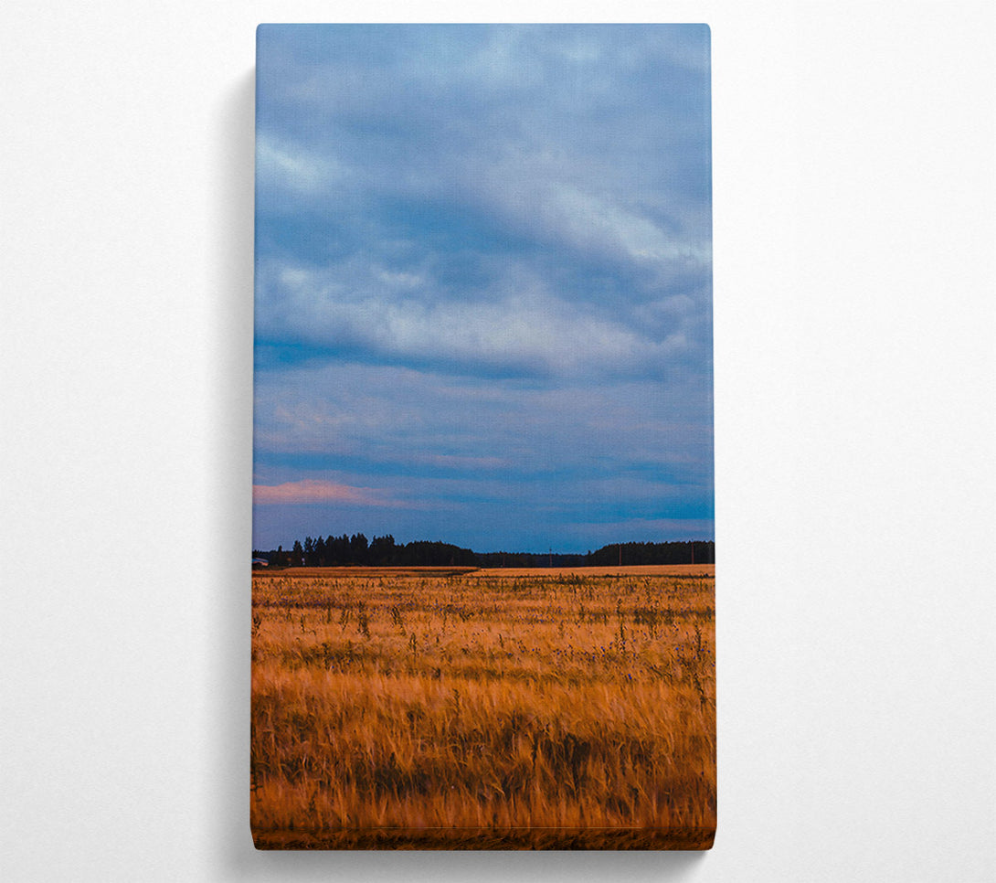  A Canvas Print of Golden Field And Sky Canvas Art
