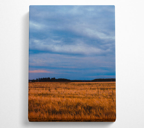  A Canvas Print of Golden Field And Sky Canvas Art