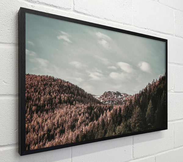 Pink Sky Mountain View