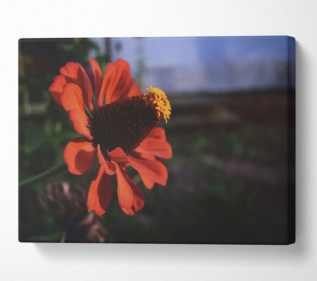  A Canvas Print of Crimson Bloom'S Embrace Canvas Wall Art