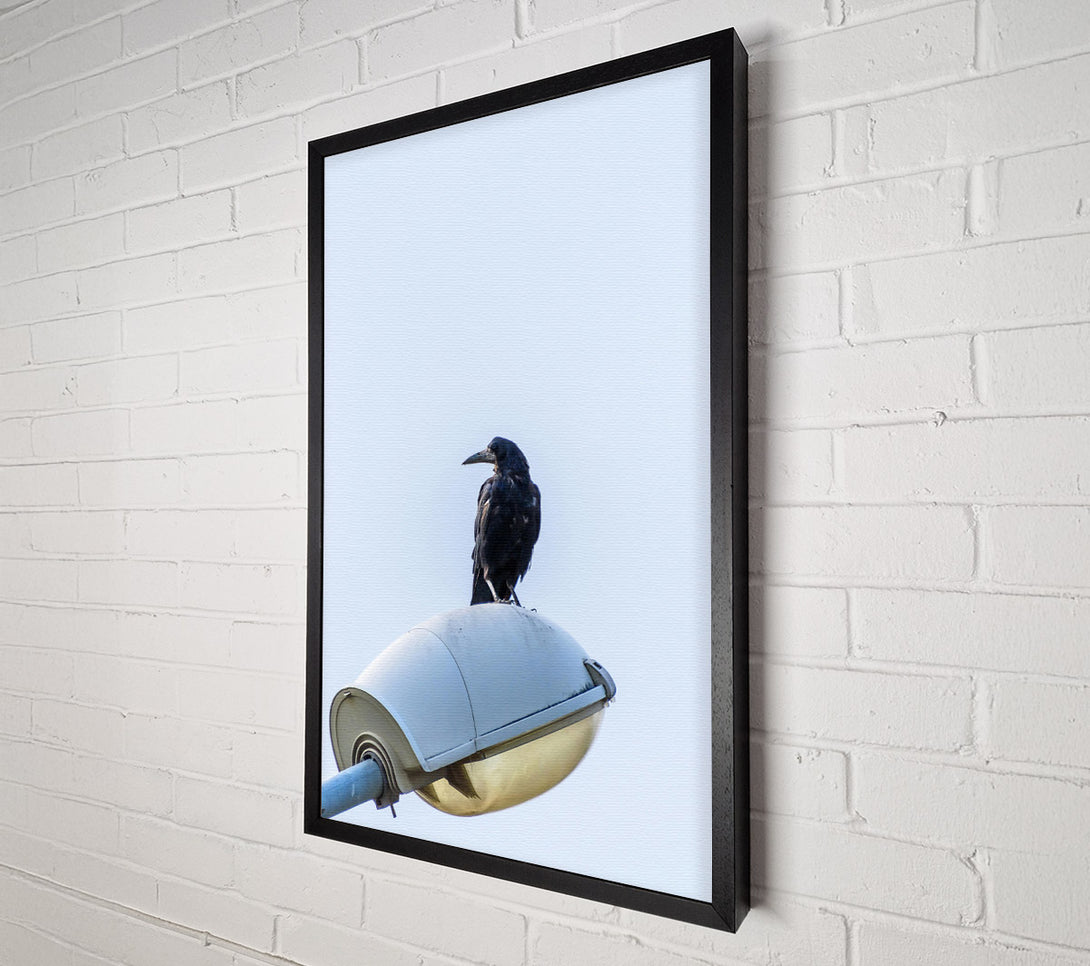  A Canvas Print of Black Raven On White Light Canvas Wall Art
