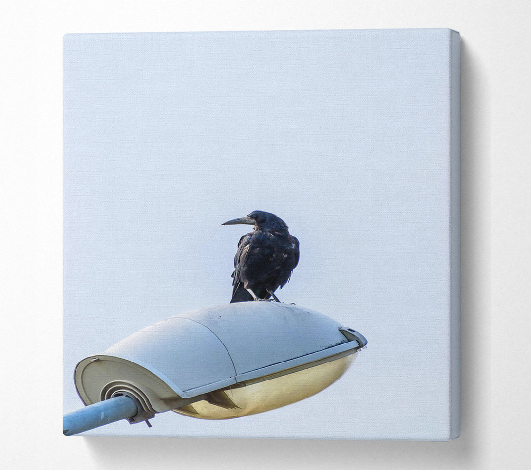 A Canvas Print of Black Raven On White Light Canvas Wall Art