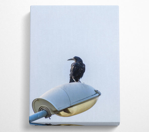  A Canvas Print of Black Raven On White Light Canvas Wall Art