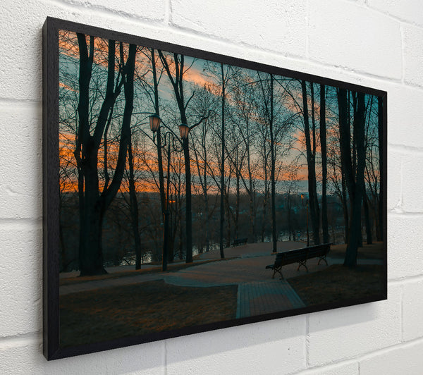 Orange Dusk In The Trees