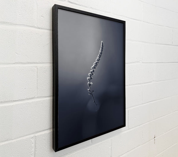 Blue Stem Silhouette