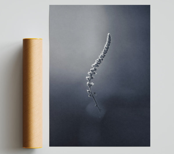 Blue Stem Silhouette Poster